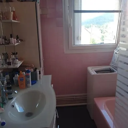 83 M2 Renove Remiremont